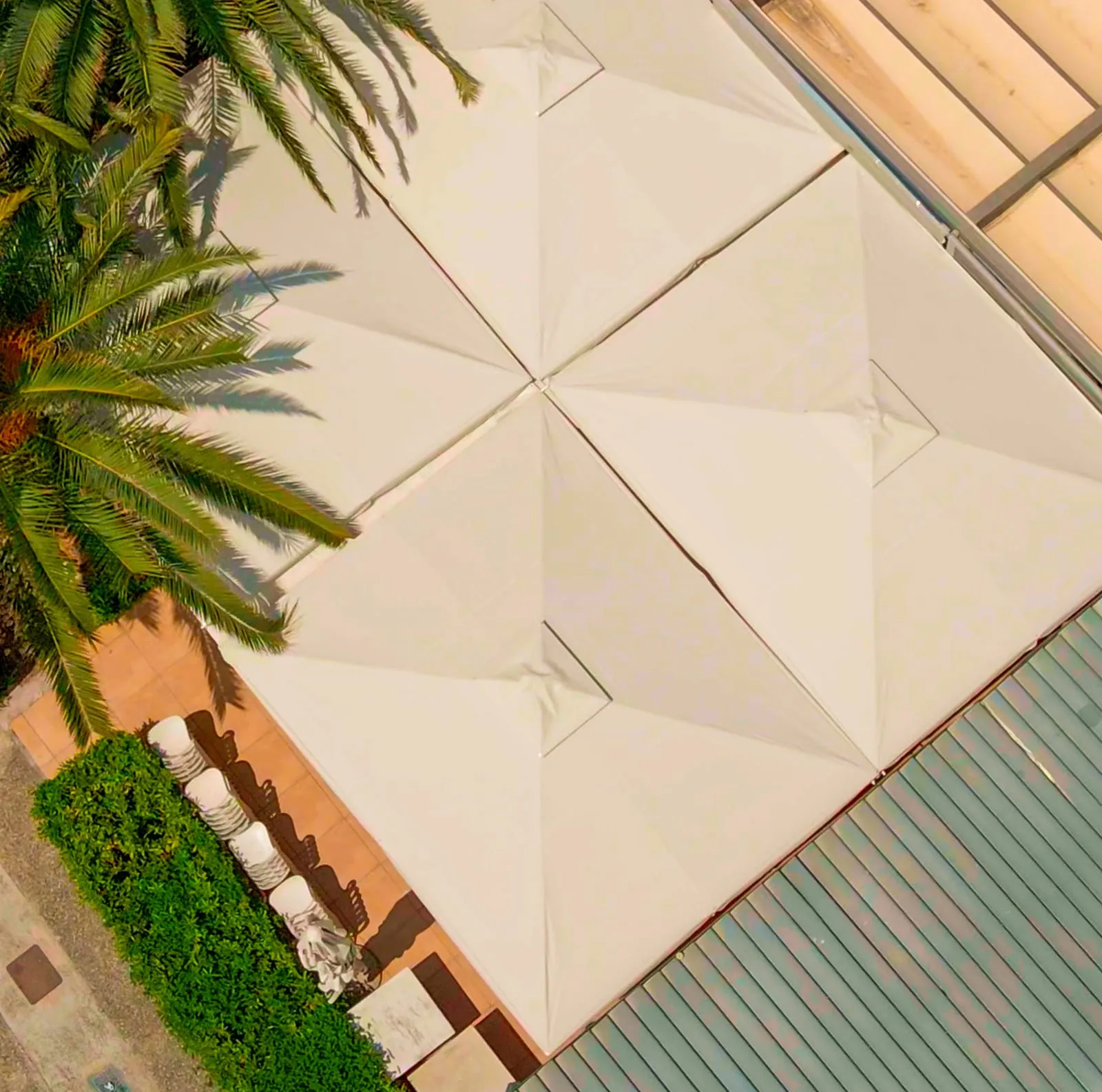Κρεμ ομπρέλες Metal Design δίπλα σε φοίνικες, κάθετα από ψηλά